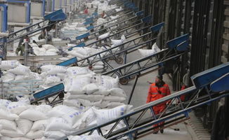 發展集團內部運輸市場 價值、機遇與策略